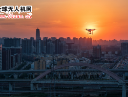 美国屋顶的10亿美元定损理赔生意，「聚蜂智能」想用无人机+AI来解决