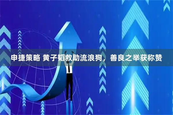 申捷策略 黄子韬救助流浪狗，善良之举获称赞
