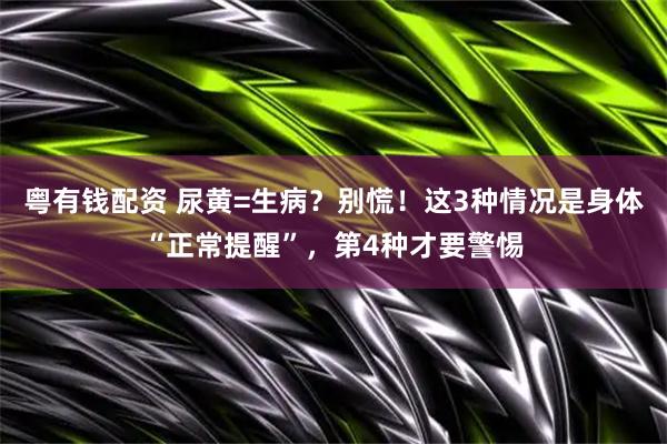 粤有钱配资 尿黄=生病？别慌！这3种情况是身体“正常提醒”，第4种才要警惕