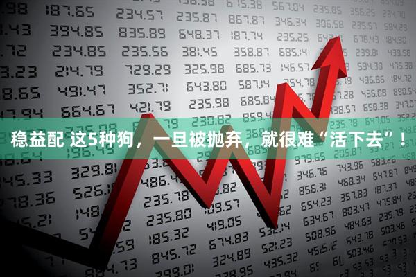 稳益配 这5种狗，一旦被抛弃，就很难“活下去”！