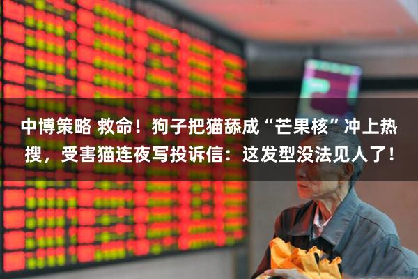中博策略 救命！狗子把猫舔成“芒果核”冲上热搜，受害猫连夜写投诉信：这发型没法见人了！