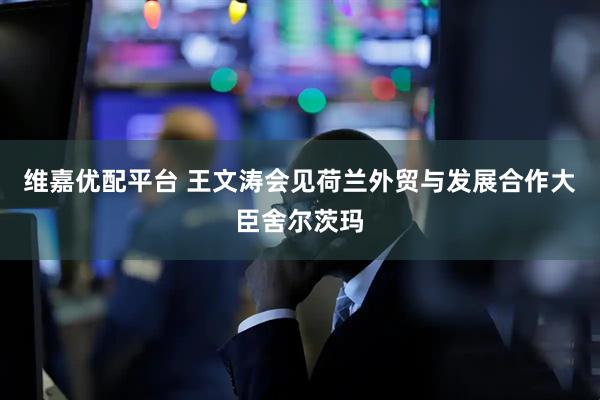 维嘉优配平台 王文涛会见荷兰外贸与发展合作大臣舍尔茨玛