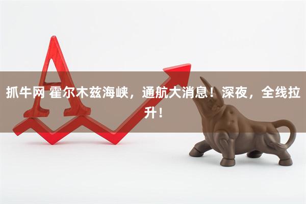 抓牛网 霍尔木兹海峡，通航大消息！深夜，全线拉升！