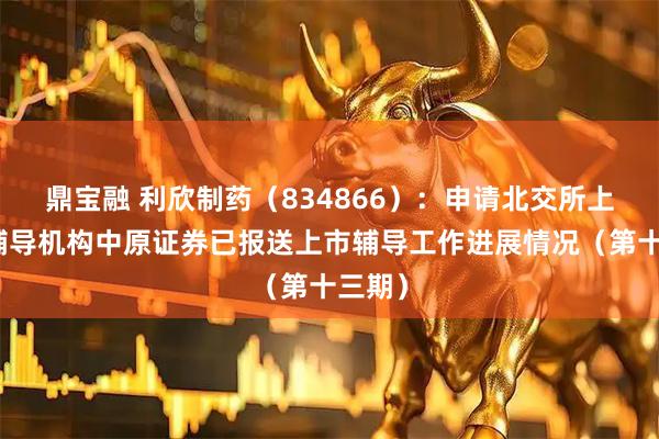 鼎宝融 利欣制药（834866）：申请北交所上市，辅导机构中原证券已报送上市辅导工作进展情况（第十三期）