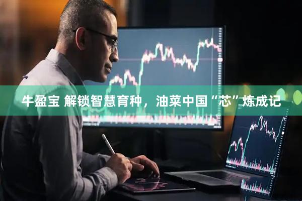 牛盈宝 解锁智慧育种，油菜中国“芯”炼成记
