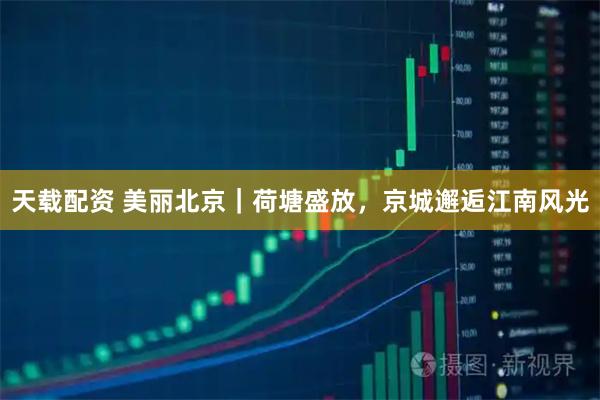 天载配资 美丽北京|荷塘盛放,京城邂逅江南风光