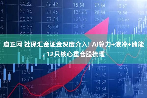 道正网 社保汇金证金深度介入! AI算力+液冷+储能, 12只核心重仓股梳理