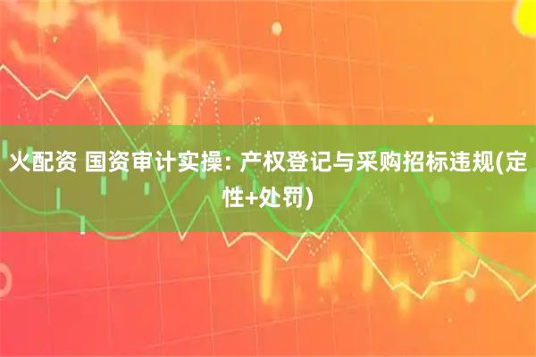 火配资 国资审计实操: 产权登记与采购招标违规(定性+处罚)