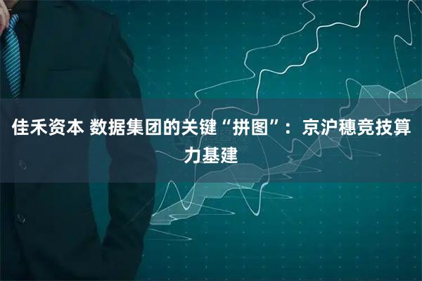佳禾资本 数据集团的关键“拼图”：京沪穗竞技算力基建