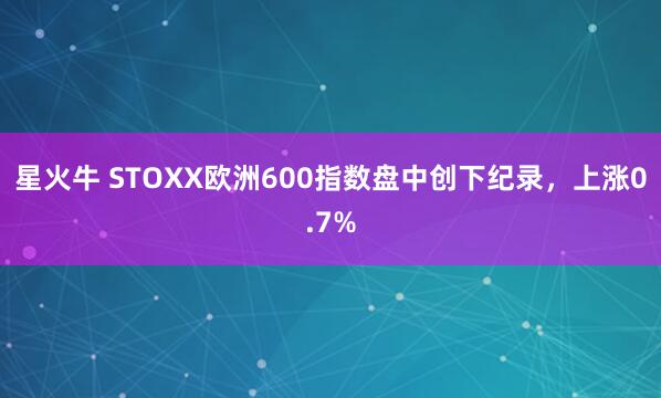 星火牛 STOXX欧洲600指数盘中创下纪录，上涨0.7%