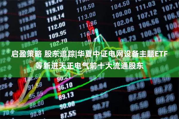 启盈策略 股东追踪|华夏中证电网设备主题ETF等新进天正电气前十大流通股东