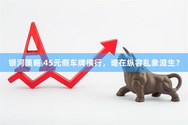 银河策略 45元假车牌横行，谁在纵容乱象滋生？