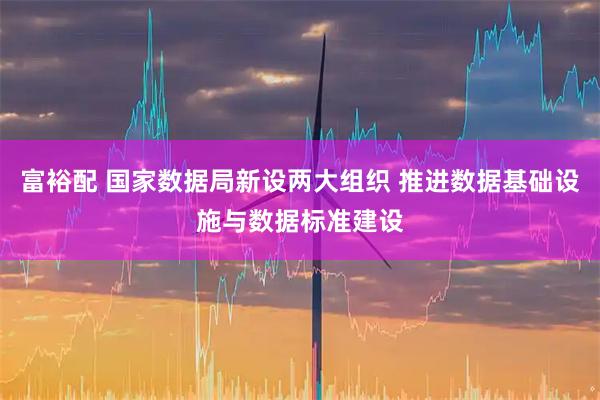 富裕配 国家数据局新设两大组织 推进数据基础设施与数据标准建设