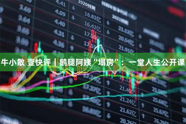 牛小散 壹快评｜鹅腿阿姨“塌房”：一堂人生公开课