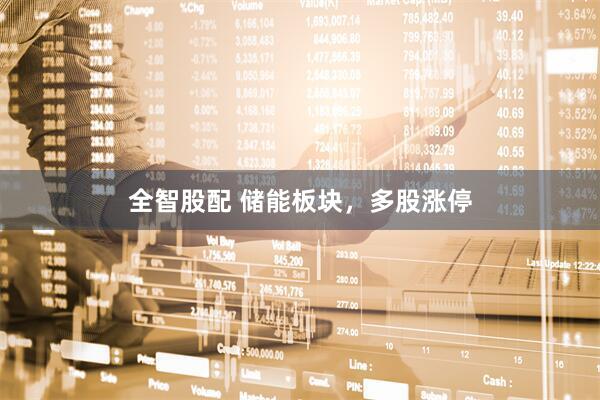 全智股配 储能板块，多股涨停