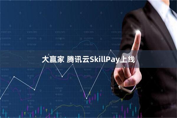 大赢家 腾讯云SkillPay上线