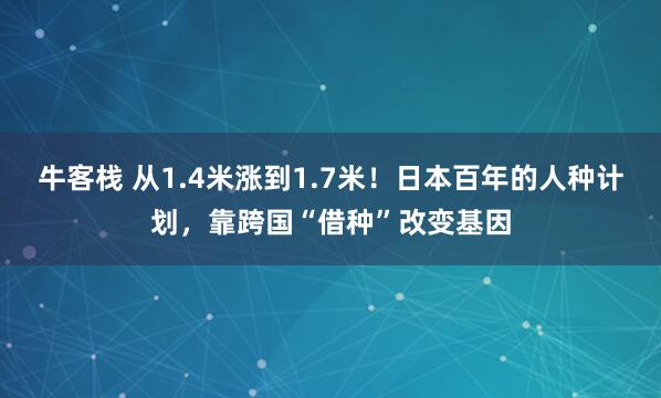 牛客栈 从1.4米涨到1.7米！日本百年的人种计划，靠跨国“借种”改变基因